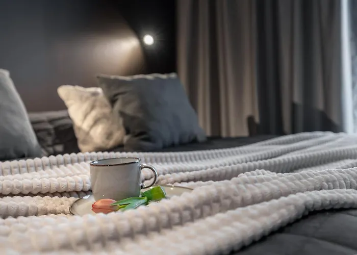 公寓 Draivi B By Hilla - 3br And Alcove